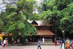 Mannarasala Snake Temple